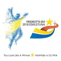 You Look Like a Winner (Mathilde vs. DJ Flink)