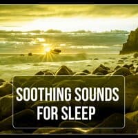 Soothing Sounds for Sleep - Sounds of Nature, Sleep Relaxation, Soft Sound, Long Sleeping, Sleep Therapy