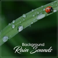 15 Relaxing Music Therapy Rain Songs