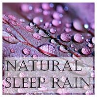 17 Looping White Noise Rain Tracks to Drift Off and Sleep