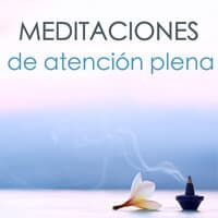 Meditaciones de Atención Plena - Musica para Ejercicios de Mindfulness, Meditación 432 Hz