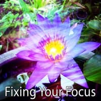 Fixing Your Focus