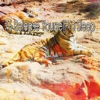 76 Release Yourself to Sleep