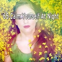 65 Calm Yourself at Night