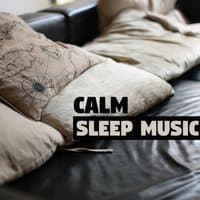 Calm Sleep Music – Nature Sounds for Relax Yourself, Soothing Music, Rest Therapy