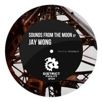 Sounds From The Moon