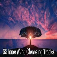 65 Inner Mind Cleansing Tracks