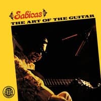 The Art of the Guitar