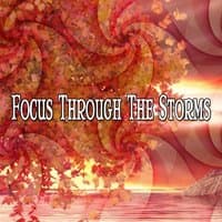 Focus Through The Storms