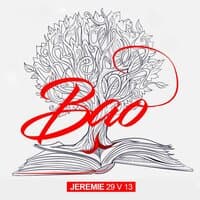 Jeremie 29 V 13