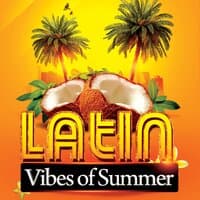 Latin Vibes of Summer