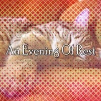 An Evening Of Rest