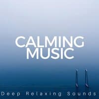 Calming Music: Deep Relaxing Sounds, Balanced Life, Better Concentrarion, Meditative Power, Inner Therapy