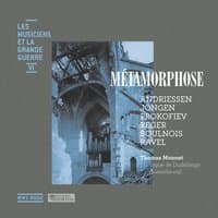 Métamorphose (Les musiciens et la Grande Guerre, Vol. 6)