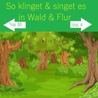 Top 30: So klinget & singet es in Wald & Flur, Vol. 4