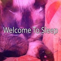 Welcome To Sleep