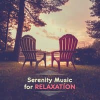 Serenity Music for Relaxation – New Age Rest Sounds, Nature Waves, Birds Songs, Water Waves