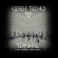 Terminal