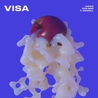 Visa