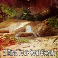 21 Mind Your Soul Storm