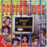 Die Pfifferlinge