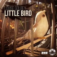 Little Bird