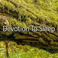 Devotion To Sleep