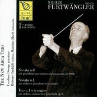 Furtwängler: Musica da camera