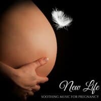 New Life - Soothing Music for Pregnancy & Relaxing Sounds of Nature for Future Mothers and Babies