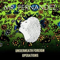 Underneath Foreign Operations