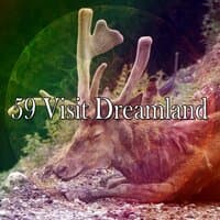 59 Visit Dreamland