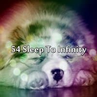 54 Sleep To Infinity