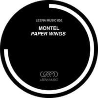 Paper Wings