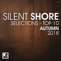 Silent Shore Selections Top 10: Autumn 2018