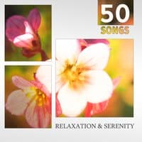 Relaxation & Serenity: 50 Songs – Music for Meditation, Spa, Healing Massage & Yoga Class, Stress Relief Melody, Deep Sleep Sounds