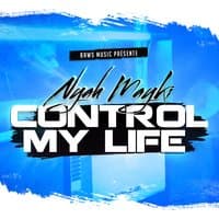 Control My Life