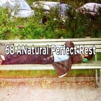 68 ANatural Perfect Rest