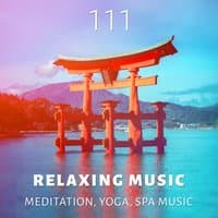 111 Relaxing Music: Meditation, Yoga, Spa Music, White Noise Waves Sounds, Calming Healing Music