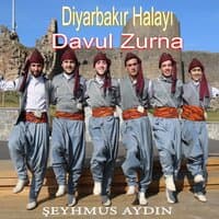 Diyarbakır Halayı Davul Zurna