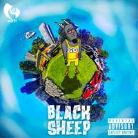 Black Sheep