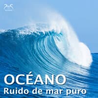 Ruido de mar puro - el océano