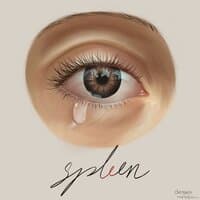 Spleen