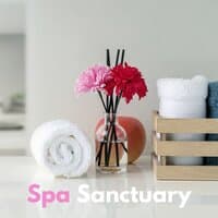 Spa Sanctuary: Wellness Peaceful Songs & Vibes for Buddhist Meditation