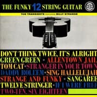 The Funky 12 String Guitar