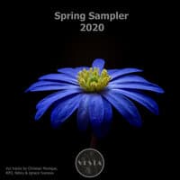 Spring Sampler 2020