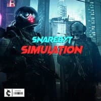 Simulation