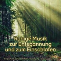 Ruhige Musik zur Entspannung und zum Einschlafen