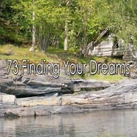 73 Finding Your Dreams