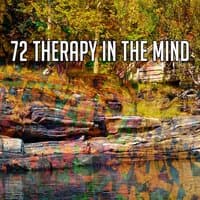 72 Therapy in the Mind