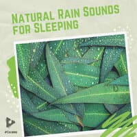 Natural Rain Sounds for Sleeping